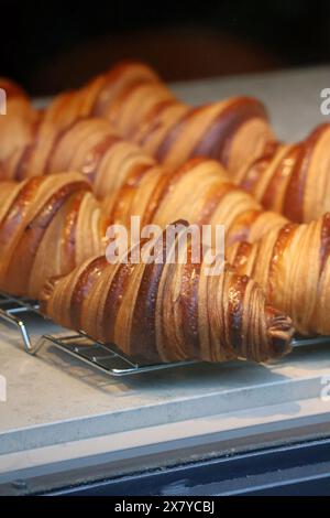 Nahaufnahme frischer und schöner Croissants in einer Bäckerei Stockfoto