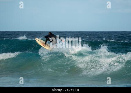 Blick auf Surfer auf einer Welle von hinten, die eine Welle fangen Stockfoto