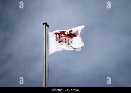 Flagge des Fürstentums Monaco über der Burg Grimaldi Stockfoto