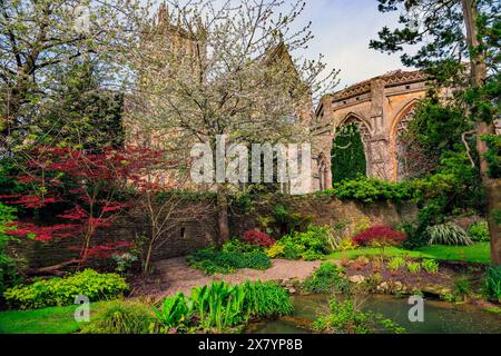 Farbenfrohe Frühlingsgrenze mit Acer-Bäumen und Hostas rund um St. Andrew’s Well im Bishop's Palace Garden, Wells, Somerset, England, Großbritannien Stockfoto