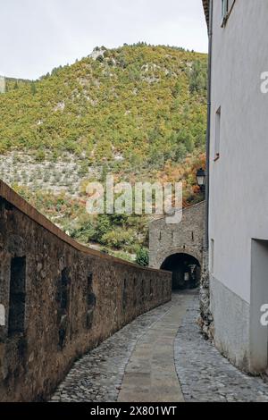 Altstadt und Zitadelle in Entrevaux, Südfrankreich Stockfoto