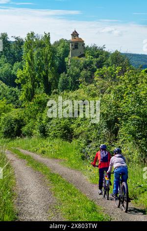 Schweiz, Baselland, Baselbiet, Birseck, Reichenstein, Radfahrer, Schloss Reichenstein, Wahrzeichen, Arlesheim, Weinberg Stockfoto