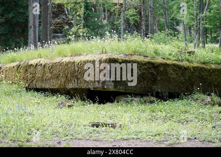 Ketrzyn, Gierloz, Polen - 11. Mai 2024 - stürzte das Gebäude bei Wolfs Lügner ein Stockfoto