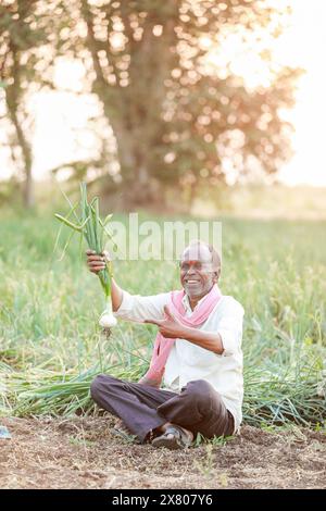 Indischer Landwirt, der Zwiebelpflanze in der Zwiebelfarm hält Stockfoto