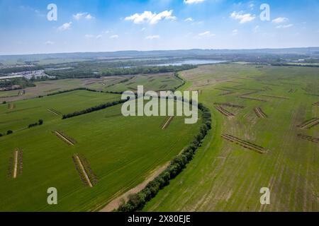 Farmland in Kempston Hardwick mit archelogischen Vermessungstranchen im Besitz von comcast Universal NBC für ein potenzielles Freizeitpark-Resort der Universal Studios Stockfoto