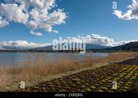 Mount Fuji, Japan, ein aktiver Stratovulkan auf der Insel Honshu. Er ist der höchste Berg Japans. Stockfoto