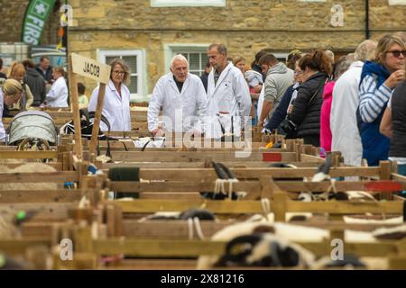 Hölzerne Schafsbuchten mit kaum sichtbaren Jakob-Schafen, während ihre Besitzer in traditionellen weißen Mänteln in der Ferne sich unterhalten. Masham Sheep Fair, Großbritannien. Stockfoto