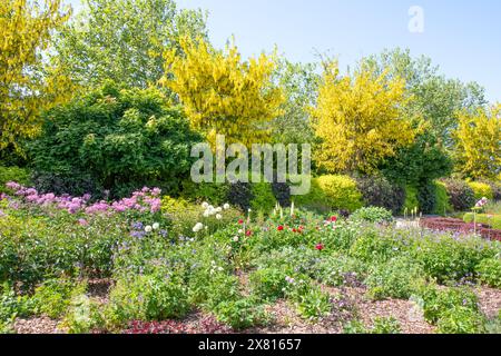 Der June Garden in Breezy Knie Gardens Stockfoto