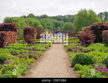 Helmsley Wall Garden die lange Blumengrenze im späten Frühling Stockfoto