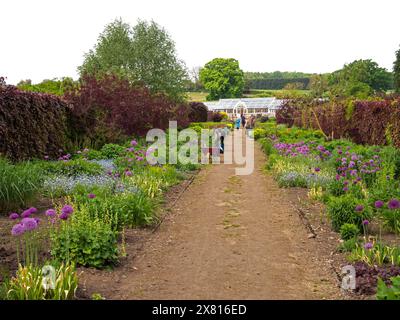 Helmsley Wall Garden die lange Blumengrenze im späten Frühling Stockfoto