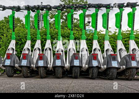 Ordentlich der Reihe nach geparkte E-Scooter am Straßenrand. München Bayern Deutschland *** E-Scooter parken ordentlich in einer Reihe am Straßenrand München Bayern Deutschland Copyright: XRolfxPossx Stockfoto