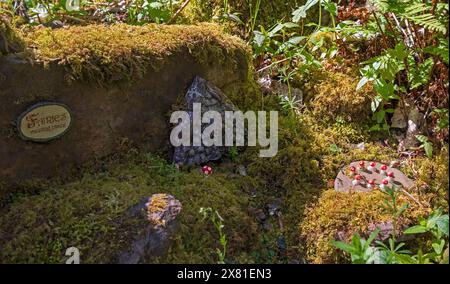 Latheronwheel Strath, Fairy Glen Walk, Caithness, Schottland, Großbritannien Stockfoto