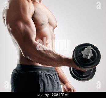 Körper, Mann und Hantel im Studio mit Muskeln, Bodybuilder und Übung auf weißem Hintergrund für Wellness. Bizeps, Workout und Gewichtheben für Stockfoto