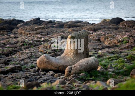 Die Felsformation Giant's Boot am Giant's Causeway an der Nordküste Nordirlands Stockfoto