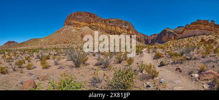 Felsformationen entlang des Lower Burro Mesa Pouroff Trail im Big Bend National Park, Texas. Stockfoto