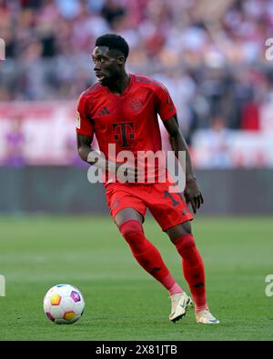 Alphonso Davies vom FC Bayern München FC Bayern München gegen VFL Wolfsburg Fussball 1. Bundesliga Saison 2023/24 33. Spieltag Allianz Arena München 12.05.2024 © diebilderwelt / Alamy Stock Stockfoto