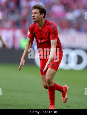 FC Bayern München gegen VFL Wolfsburg Fussball 1. Bundesliga Saison 2023/24 33. Spieltag Allianz Arena München 12.05.2024 © diebilderwelt / Alamy Stock Stockfoto