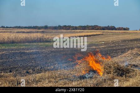 Verbrennung landwirtschaftlicher Abfälle - Smog und Verschmutzung. Schädliche Emissionen aus Heu- und Strohverbrennung auf landwirtschaftlichen Feldern. Stockfoto