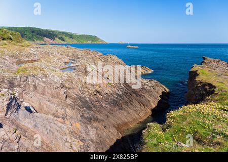 England, Devon, Dartmouth, der South West Coast Path vorbei an Blackstone Point Stockfoto