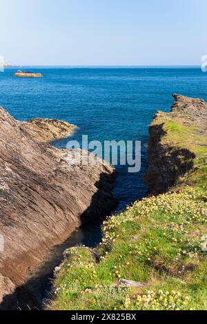 England Devon Dartmouth, der South West Coast Path, vorbei an Blackstone Point Stockfoto