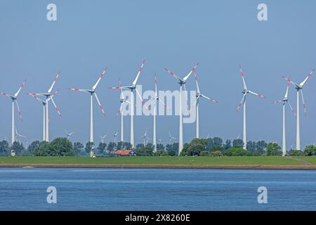 Windpark bei Brunsbüttel, Haus, Elbe, Schleswig-Holstein, Deutschland Stockfoto