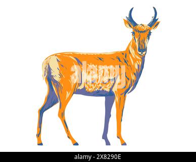 WPA-Posterkunst eines Gabelhorns Antilocapra americana oder einer amerikanischen Antilope, von der Seite gesehen, in der Projektverwaltung gemacht. Stock Vektor