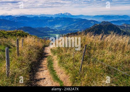 Blick vom Hochgrat bei Oberstaufen (Bayern, Deutschland) Stockfoto