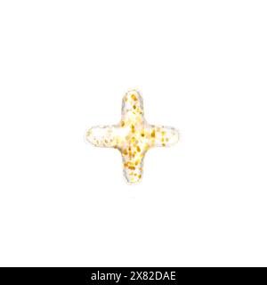 Transparenter Ballon mit goldenen Flocken plus Schild. 3D-Rendering-Abbildung Stockfoto