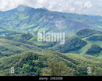 Der Eravikulam-Nationalpark liegt in den Kannan Devan Hills in der Nähe von Munnar. Es befindet sich im Devikulam Taluk des Distrikts Idukki in Kerala Stockfoto