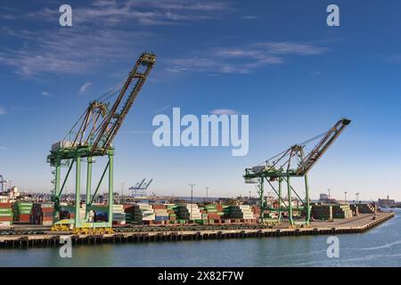 Los Angeles, Kalifornien, USA - 12. Januar 2024: Weitwinkelansicht der Containerkräne im Hafen von Los Angeles. Stockfoto