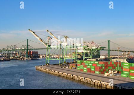 Los Angeles, Kalifornien, USA - 12. Januar 2024: Weitwinkelansicht der Containerkräne im Hafen von Los Angeles. Stockfoto