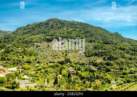 Kurzer Zwischenstopp in der schönen kleinen Stadt Valldemossa im Nordwesten der Insel Serra de Tramuntana Region - Mallorca - Spanien Stockfoto