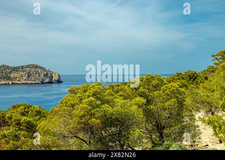 Kleine aber schöne Wanderung auf dem Küstenweg Pass D'en Grau in der Küstenstadt Sant Elm im Süden der Baleareninsel Mallorca - Spanien Stockfoto