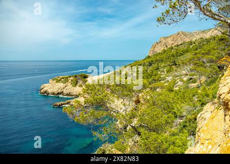 Kleine aber schöne Wanderung auf dem Küstenweg Pass D'en Grau in der Küstenstadt Sant Elm im Süden der Baleareninsel Mallorca - Spanien Stockfoto