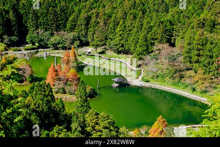 Winterlandschaft mit bunten kahlen Zypressen, die einen grünen Teich in den Wäldern im Mingchi Forest Recreation Area im Yilan County, Taiwan, umgeben. Stockfoto