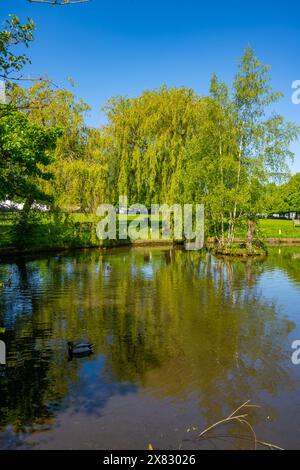 Der Teich und das Haus auf dem Grün bei Writtle bei Chelmsford Essex Stockfoto