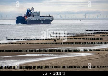 Die DFDS Frachtfähre Begonia Seaways, mit LKW Trailer und Neuwagen beladen fahren aus der Westerschelde in die Nordsee bei Zoutelande Niederlande, auf dem Weg von Gent in Belgien nach Göteborg, Schweden, Wellenbrecher am Strand, Offshore Windpark in, Frachtfähre *** die DFDS Frachtfähre Begonia Seaways, beladen mit einem Lkw-Anhänger und neuen Autos, verlässt die Westerschelde in die Nordsee bei Zoutelande Niederlande, auf dem Weg von Gent in Belgien nach Göteborg, Schweden, Wellenbrecher am Strand, Offshore-Windpark in, Frachtfähre Stockfoto