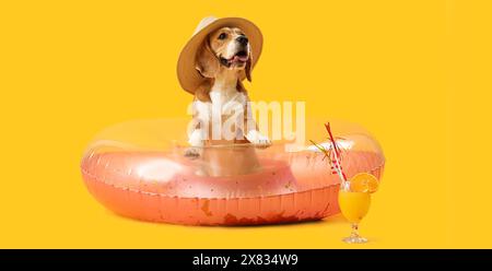 Niedlicher Beagle-Hund im Hut, mit aufblasbarem Ring und Cocktail auf gelbem Hintergrund Stockfoto