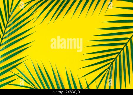 Grüne tropische Blätter auf hellgelbem Hintergrund. Minimales Sommerkonzept mit Palmenblatt. Kreativer Kopierbereich. Grenzanordnung. Flache Lagen. Stockfoto