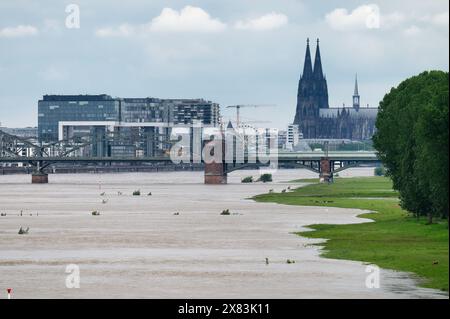 Blick auf das Kölner Panorama vom überfluteten Poller Wiesen nahe der Südbrücke während der Überschwemmungen in Köln im Mai 2024 Stockfoto