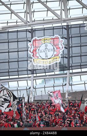 Dublin, Irland. 22. Mai 2024. Fans (Bayer 04 Leverkusen) beim Endspiel der UEFA Europa League zwischen Atalanta 3-0 Bayern Leverkusen im Dublin Arena Stadium am 22. Mai 2024 in Dublin, EIRE. Quelle: Maurizio Borsari/AFLO/Alamy Live News Stockfoto