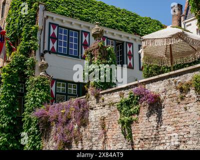 Ein mit Efeu überdachtes Haus mit Fensterläden und einer Terrasse, eingebettet in üppige Vegetation und neben einem Fluss, alte historische Hausfassaden mit Türmen und Brücken Stockfoto