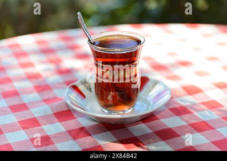 Istanbul, Provinz Istanbul, Türkei, Asien, Nahaufnahme einer Teetasse auf einer rot-weiß karierten Tischdecke im Freien Stockfoto