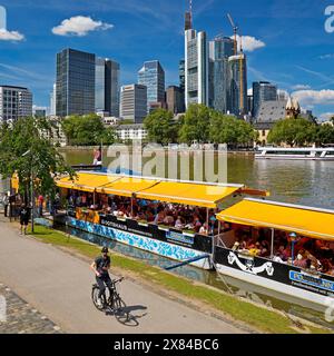 Stadtblick mit Bootshaus Frau Rauscher am Main und Bankenviertel, Mainpromenade, Frankfurt am Main, Hessen, Deutschland Stockfoto