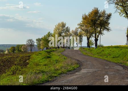 Abgebrochene Feldstraße in den Frühlingsbergen mit vielen schlammigen Pfützen nach dem Regen. Stockfoto