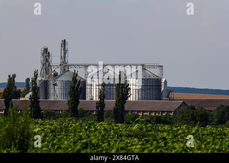 Silos auf der Agroindustrie und Produktionsanlage für die Verarbeitung Trocknung Reinigung und Lagerung von landwirtschaftlichen Produkten, Mehl, Getreide und Getreide. Stockfoto