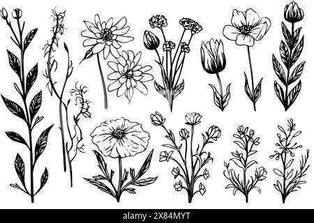 Wildblumen Set handgezeichnete Tusche Skizze. Gravierte Vektor-Illustration im Retro-Stil. Stock Vektor