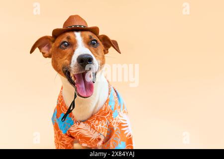 Süßer und lustiger Hund der Jack Russell Terrier Rasse in Cowboyhut und hawaiianischem Hemd auf einem sandfarbenen Hintergrund. Reisevorbereitung und -Planung. Stockfoto