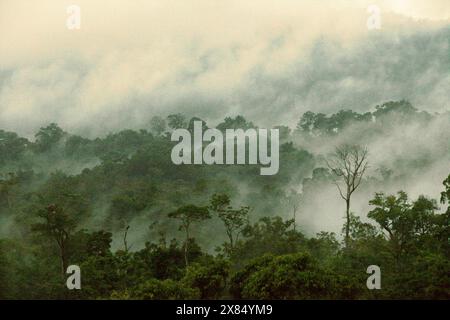 Regenwaldlandschaft am Fuße des Mount Tangkoko und des Mount Duasudara (Dua Saudara) in Bitung, Nord-Sulawesi, Indonesien. Stockfoto