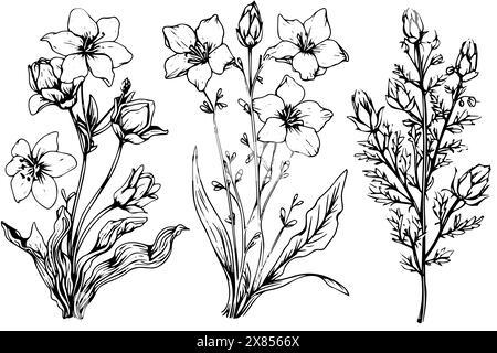 Wildblumen Set handgezeichnete Tusche Skizze. Gravierte Vektor-Illustration im Retro-Stil. Stock Vektor